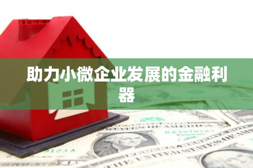 合川助力小微企业发展的金融利器