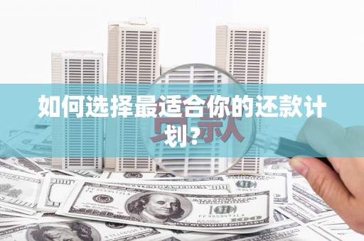 合川如何选择最适合你的还款计划？