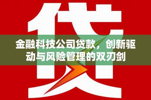 合川金融科技公司贷款，创新驱动与风险管理的双刃剑